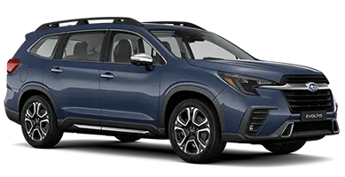 Accesorios Subaru